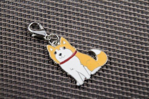 Ciondolo dog tag akita o - dog, tag,