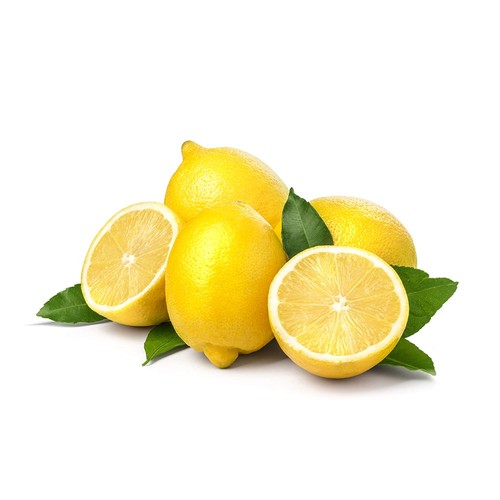 Pianta albero limone - pianta, lunario