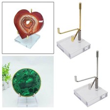 Espositore con braccio in