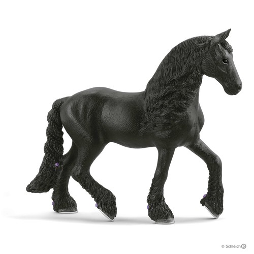 Cavalla frisona cavalli - cavalla, in