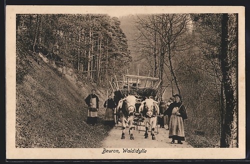 Beuron parte della foresta - beuron,,