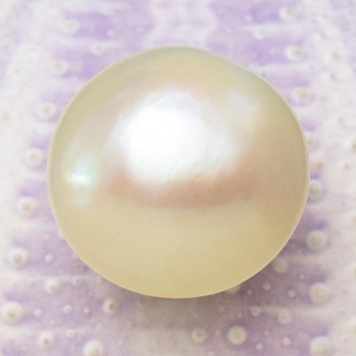 Perla mabe bianca crema 25 - perla,