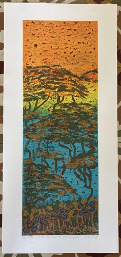 Serigrafia firmata miguel - firmata,