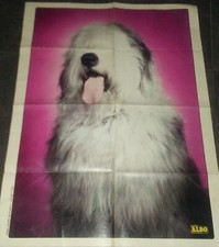 POSTER ALBO DELL' INTREPIDO 1558 DEL 1976 - CM 43 X 58