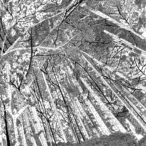 Artisti vari displaced - vari,