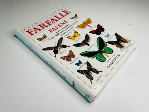 David carter farfalle - farfalle, e