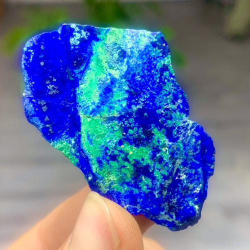 20g migliori esemplari - migliori, di