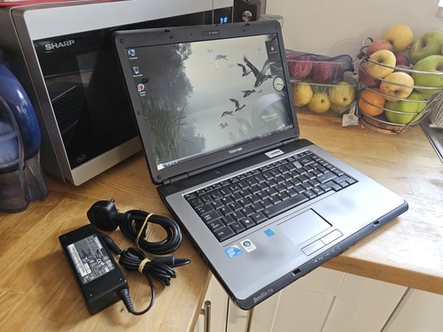 Toshiba satellite l300 intel - satellite,