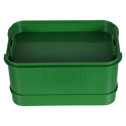 Germogli fagioli vivaio box - germogli, di