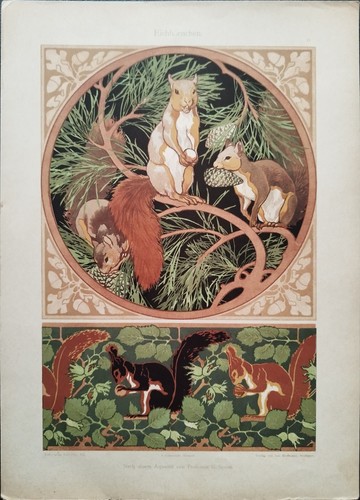 Antica stampa colori - antica, 1900