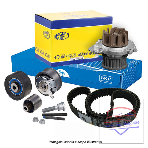 Kit cinghia distribuzione skf - cinghia,