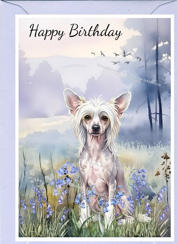 Biglietto compleanno cane - biglietto,