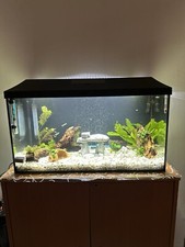 acquario completo usato