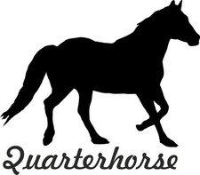 Adesivi auto quarterhorse - 2,