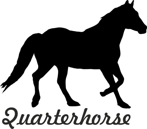 Adesivi auto quarterhorse - adesivi,