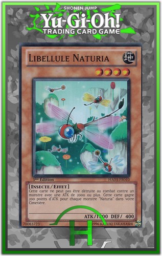Libellule naturia ha03 fr010 - libellule,
