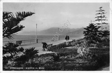 Postcard Bordighera garden by