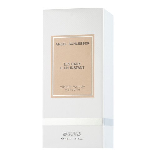 Angel schlesser les eaux un - schlesser,