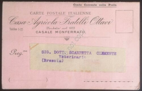 Cartolina postale con - , catalogo