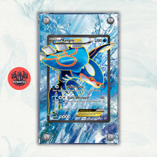 Pokémon Teca Magnetica