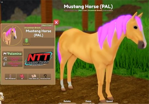 Wild horse islands palomino - horse,