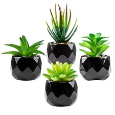 Piante grasse artificiali in