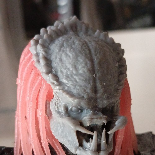 Predator accessorio - predator,