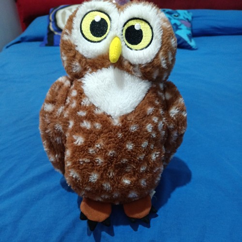 Peluche gufo carino - carino, piccino