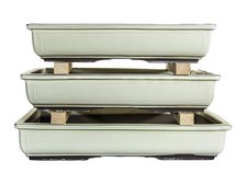 Vasi per bonsai Giapponesi