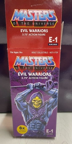 Masters the universe - the,
