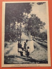 PANICAGLIA BORGO SAN LORENZO MUGELLO BELLA ANIMAZIONE 