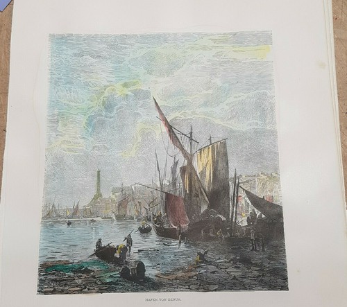 Stampa antica genova - ,