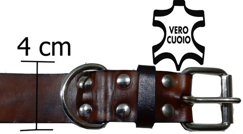 Collare cane per - in, cuoio