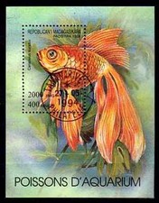 Pesci Madagascar (18) Blocco