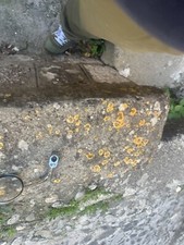 specchietti cafe racer,come Nuovi Regolabili,bella Visibilità