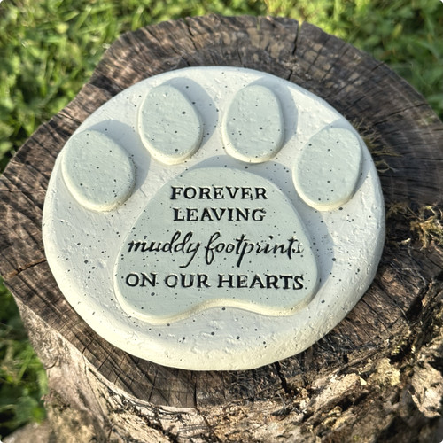 Gatto cane commemorativo - gatto,