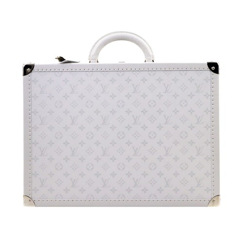Louis vuitton taigarama - louis,