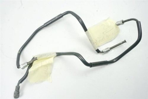 Triumph tigre 1050 - triumph,