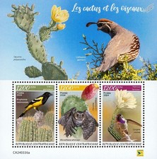 CACTUS & BIRDS Cactus Owl Bird