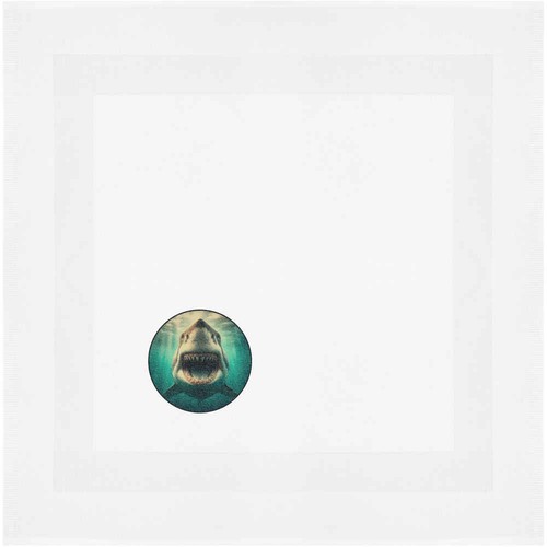 Grande squalo bianco - 'grande,