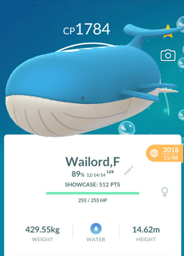 Wailord pokémon go - wailord,