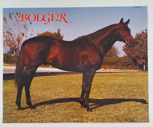 Brochure vintage anni - , 80