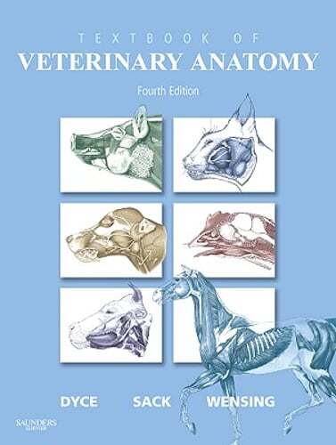 Textbook veterinary anatomy - textbook, of