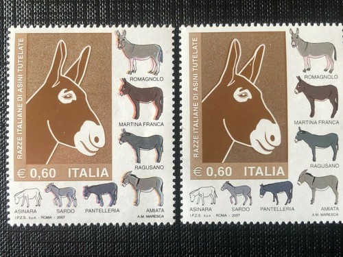 Francobollo italia 2007 razze - italia,