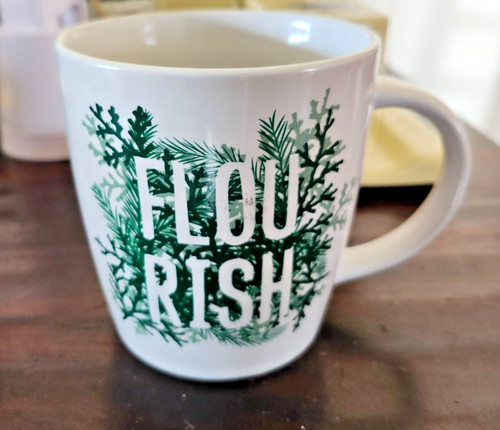Starbucks 2017 flou rish - ,