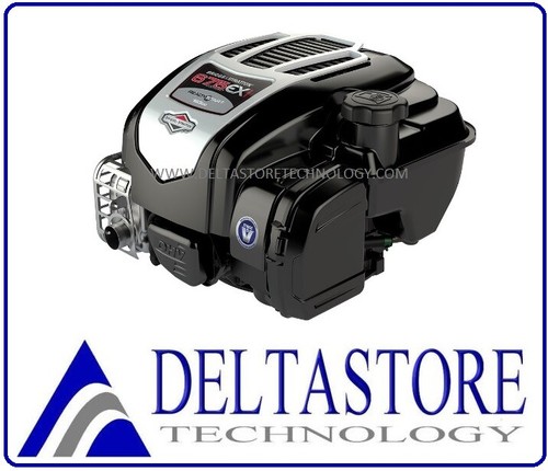 Motore briggs stratton 4t - &,