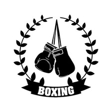 Boxer Boxe Boxe Club Palestra