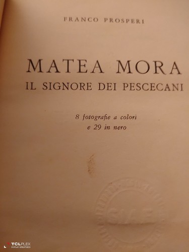 Matea mora signore - il,
