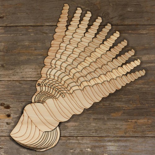 10x torretta conchiglia - 10x,