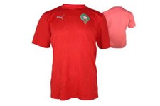 Puma Marocco Training Jersey